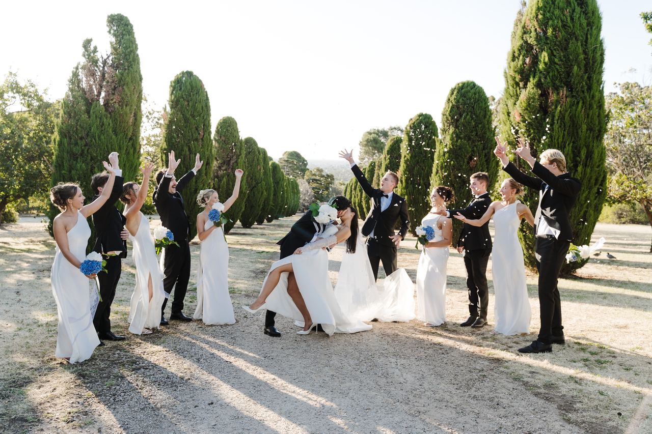 The wedding party celebrating along the cypress drive