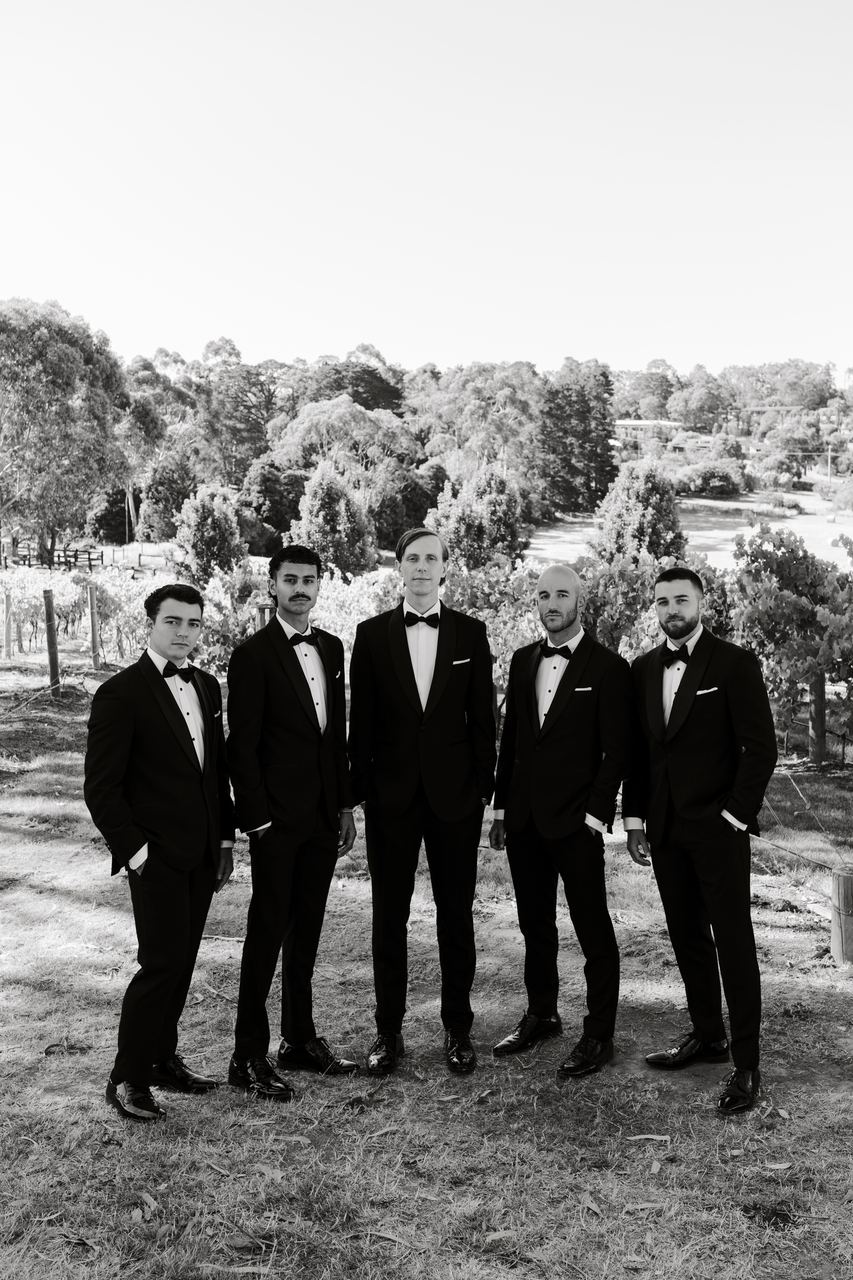 The groomsmen standing among the vines