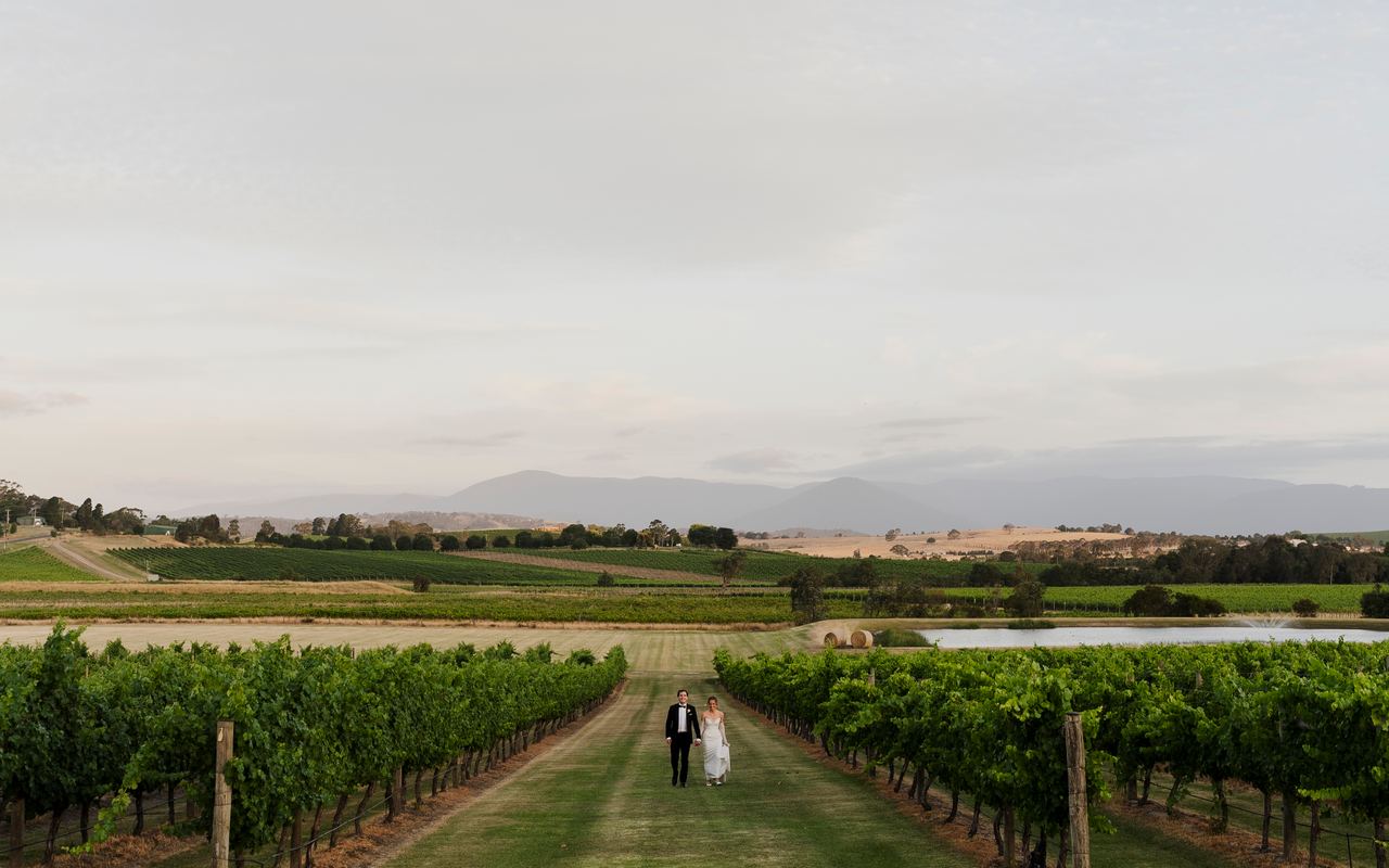 Caleb and Georgia walking together through a wide vineyard at dusk