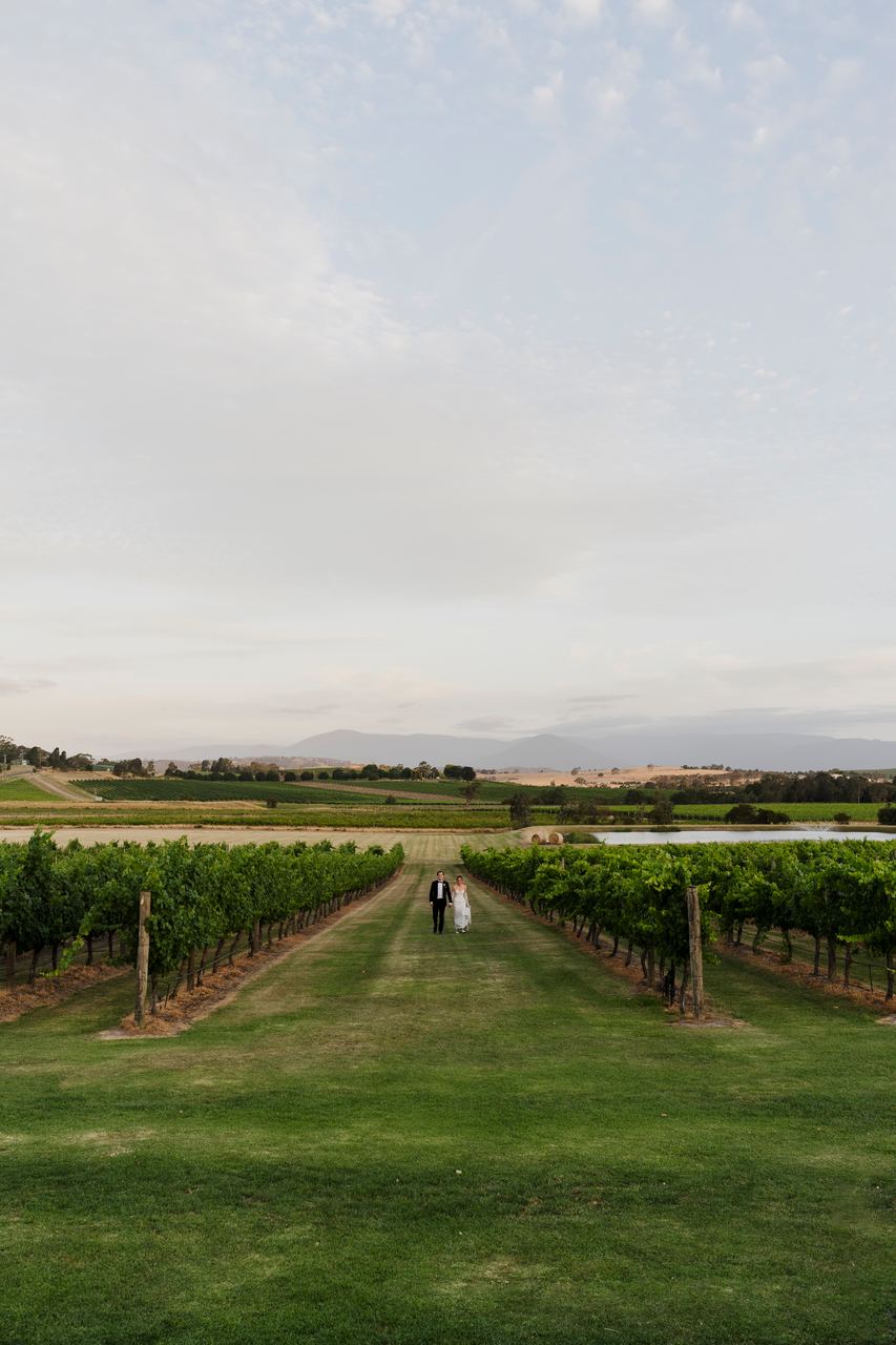 Caleb and Georgia, small against a wide vineyard at dusk